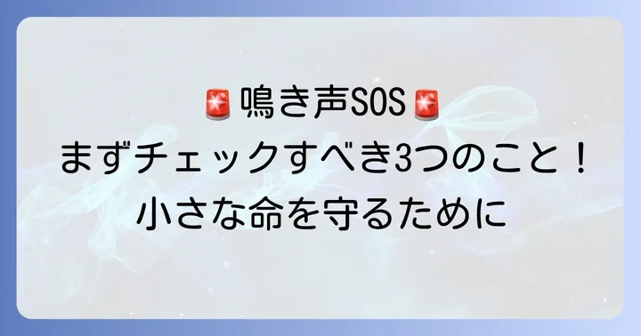 鳴き続ける子猫を見つけたら！まず確認すべきことと行動の判断