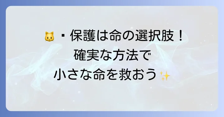 野良猫の子猫を安全に保護するための具体的な方法