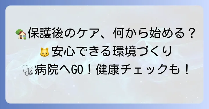 保護後の子猫のケアと次のステップ