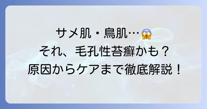 はじめに：二の腕のブツブツ、その正体は？