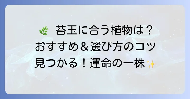 ケト土なし苔玉におすすめの植物と苔の種類