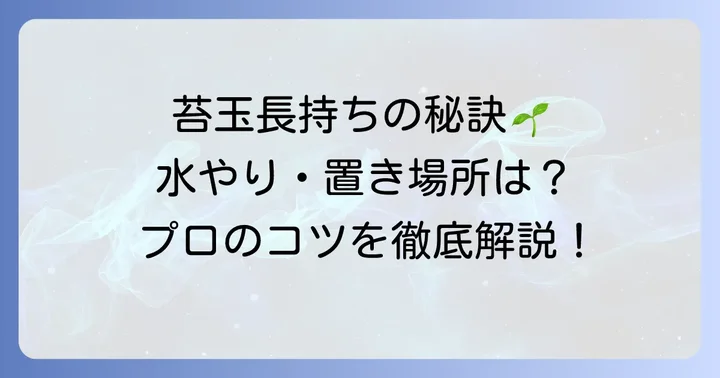 苔玉の育て方と長持ちさせる管理のコツ