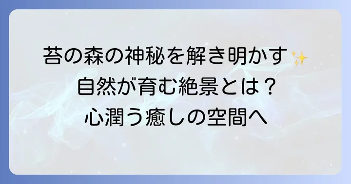 苔むした森の遺宝とは?自然が育む神秘の絶景