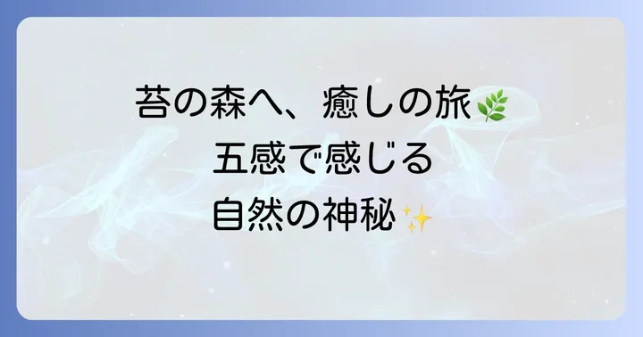 苔むした森の遺宝を深く味わうための方法
