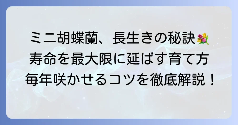 ミニ胡蝶蘭の寿命を最大限に延ばす育て方と長く楽しむコツ