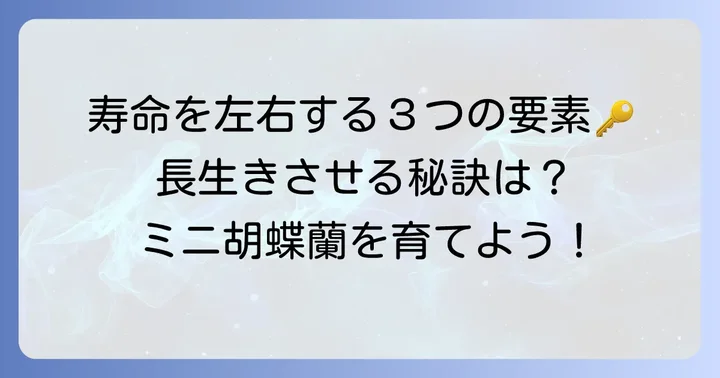 ミニ胡蝶蘭の寿命を左右する重要な要素