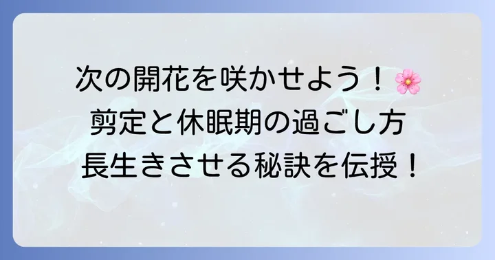 花が終わった後の管理で次の開花へ導く
