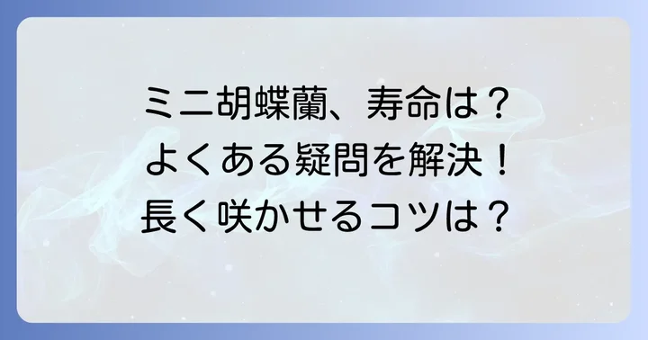 ミニ胡蝶蘭のよくある質問を解決！