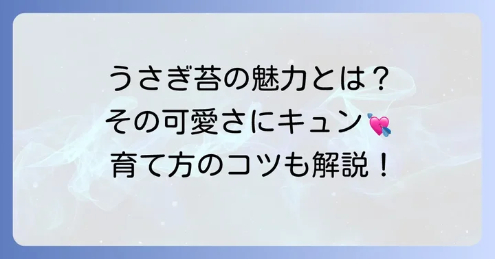 うさぎ苔とは?その魅力と特徴