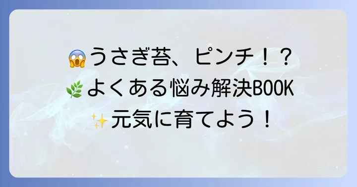 うさぎ苔栽培でよくあるトラブルとその解決策