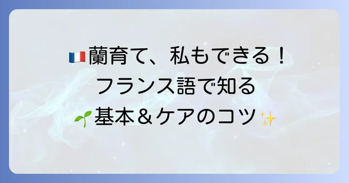 フランス語で胡蝶蘭の栽培やケアについて話す