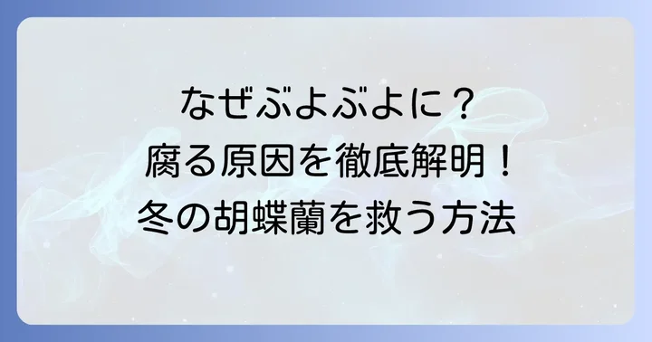 冬に胡蝶蘭の葉が腐る主な原因を徹底解明