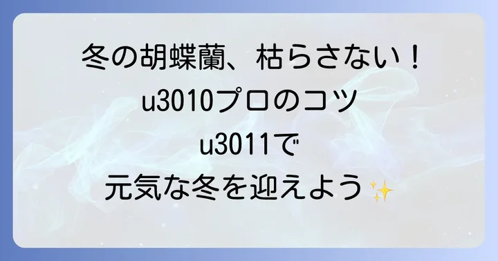 冬の胡蝶蘭を健康に保つための予防策と日頃のコツ
