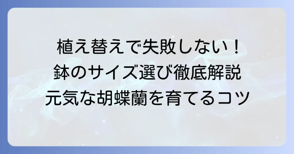 胡蝶蘭の植え替えで迷わない!鉢の大きさ選びを徹底解説
