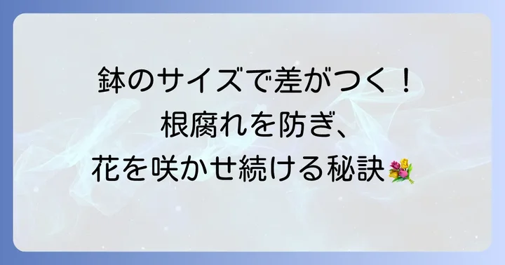 胡蝶蘭の植え替えで鉢の大きさが重要な理由