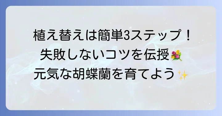 胡蝶蘭の植え替えの具体的な進め方