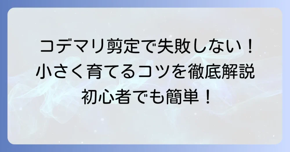 コデマリを小さく育てる剪定と鉢植えのコツを徹底解説