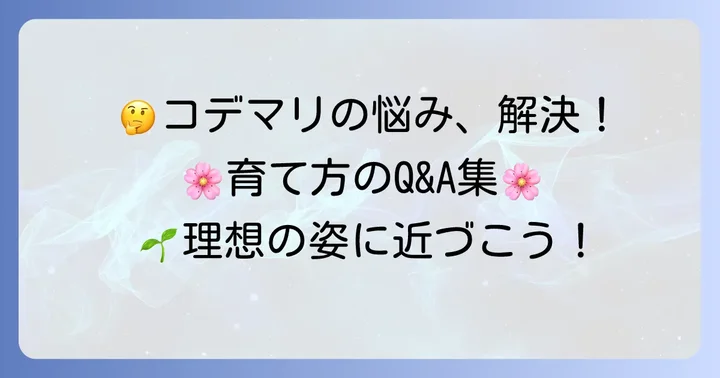 よくある質問