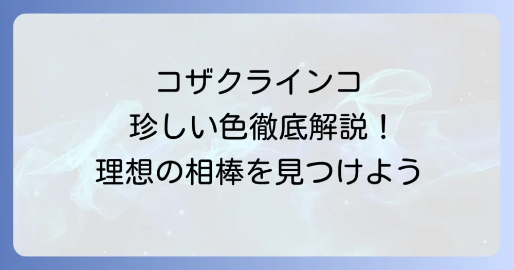 コザクラインコの珍しい色を徹底解説！希少な種類と出会う方法
