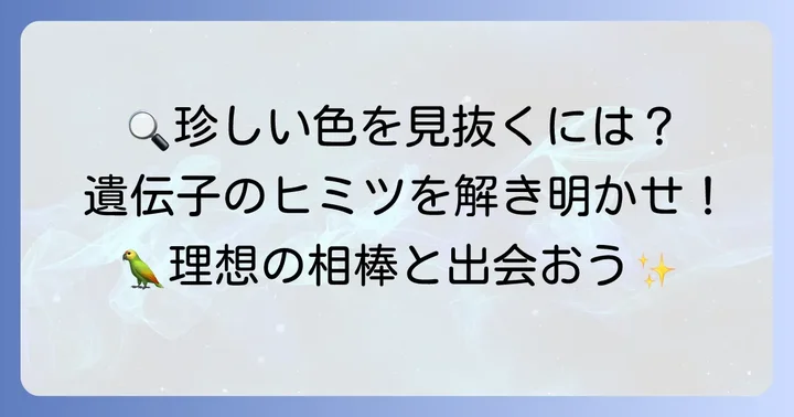 珍しい色のコザクラインコを見分けるコツ