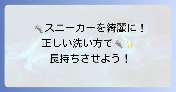 スニーカーウォッシャーの正しい使い方手順