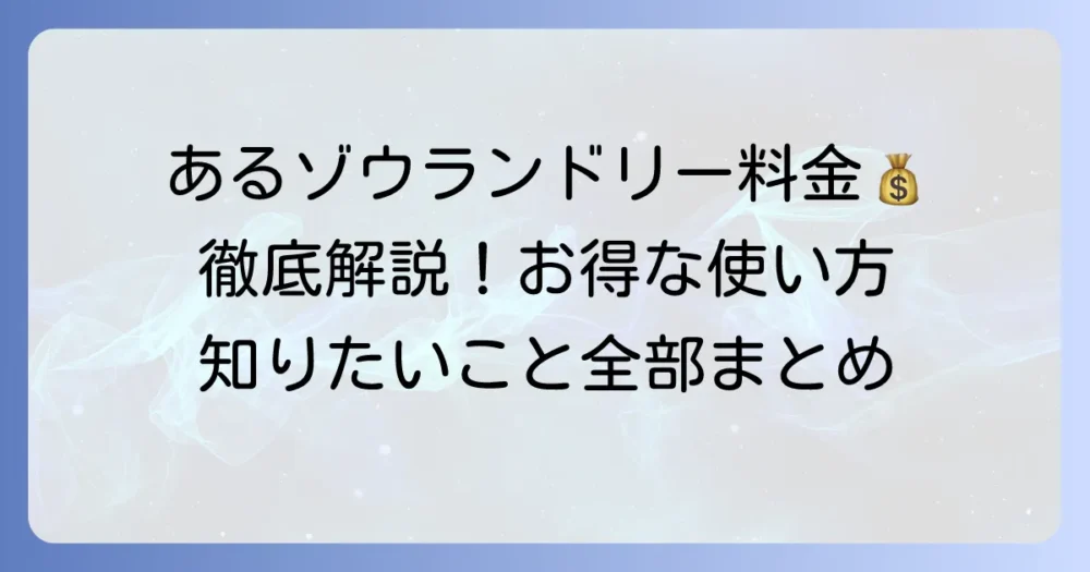 あるゾウランドリーの料金を徹底解説!賢くお得に利用する方法