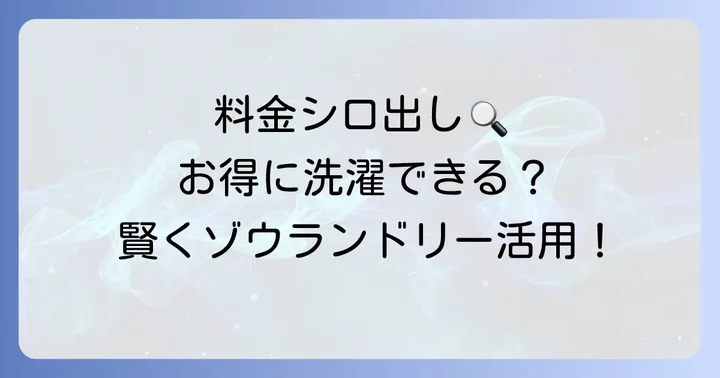 あるゾウランドリーの料金体系を徹底解剖!
