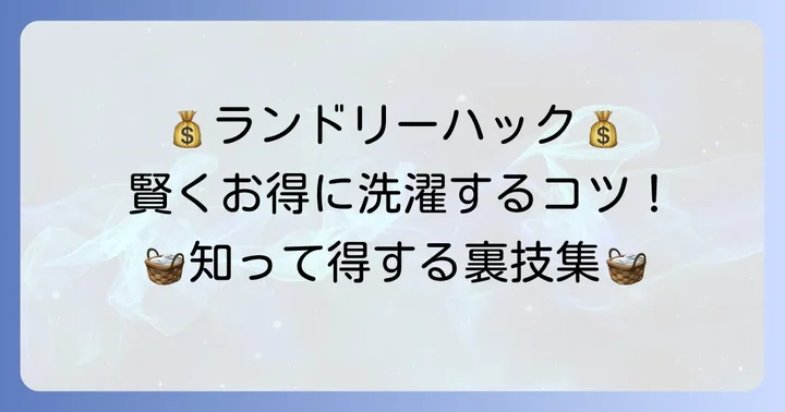 あるゾウランドリーを賢くお得に利用するコツ