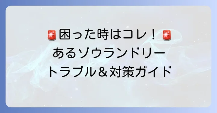 あるゾウランドリー利用時の注意点とトラブル対策