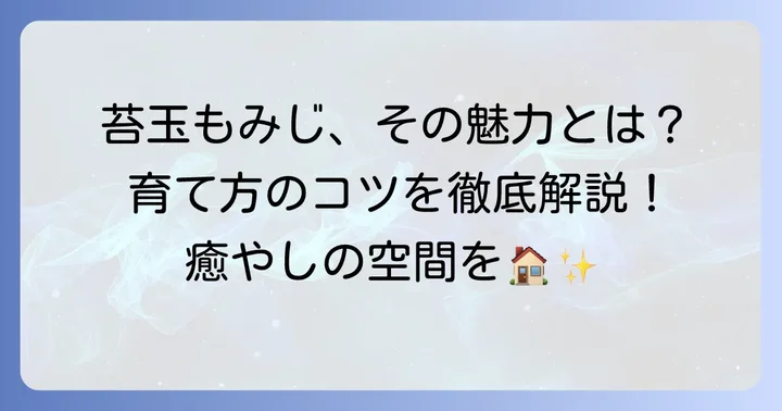 苔玉もみじの魅力と育てる上での心構え
