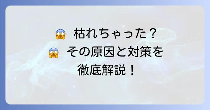 苔玉もみじのトラブル解決：枯れる原因と対策