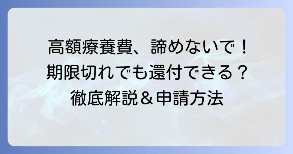 高額療養費の確定申告に間に合わないと焦るあなたへ!まだ間に合う還付申告の徹底解説