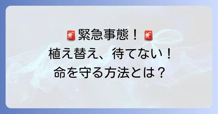 花が咲いていても植え替えが必要な緊急ケース