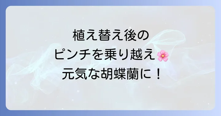 植え替え後の管理で回復を早めるコツ