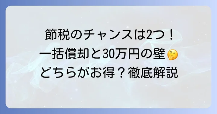 個人事業主のための「一括償却資産」と「30万円未満の特例」の基本