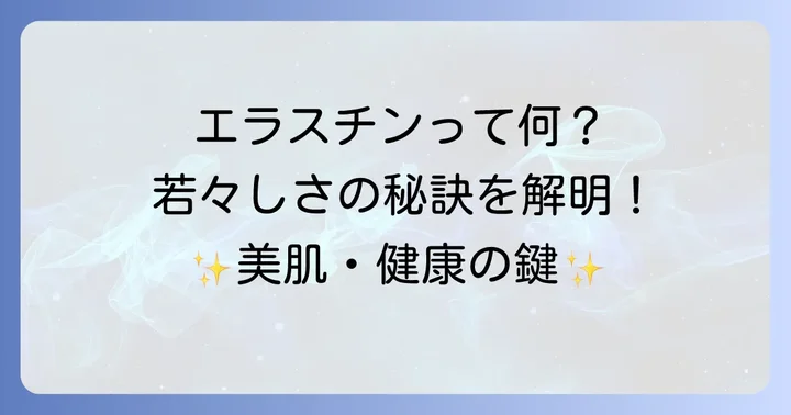 エラスチンとは？肌や体への働きとサプリで補う理由