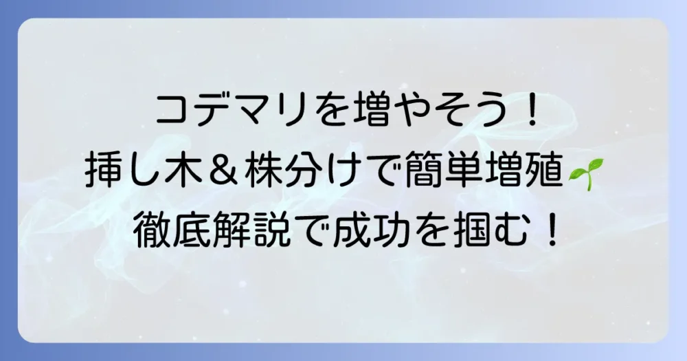 コデマリの増やし方：挿し木と株分けで成功するための徹底解説