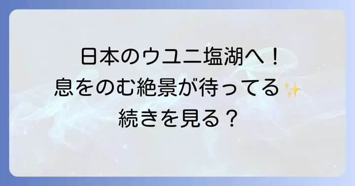 父母ヶ浜とは？日本のウユニ塩湖と呼ばれる絶景スポット