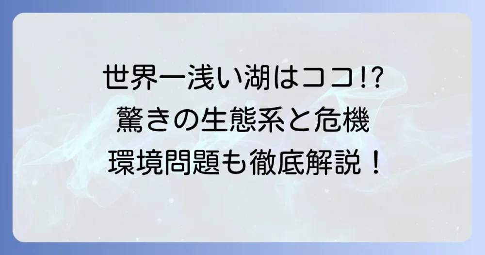 世界一浅い湖はどこ？その驚きの正体と独自の生態系、環境問題を徹底解説