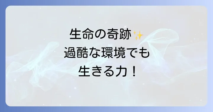 カティサンダ・エア湖が育む生命の奇跡：独自の生態系