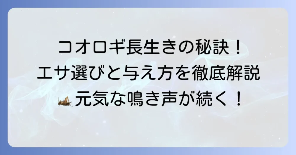 エンマコオロギのエサの選び方と与え方！健康に長生きさせるコツを徹底解説