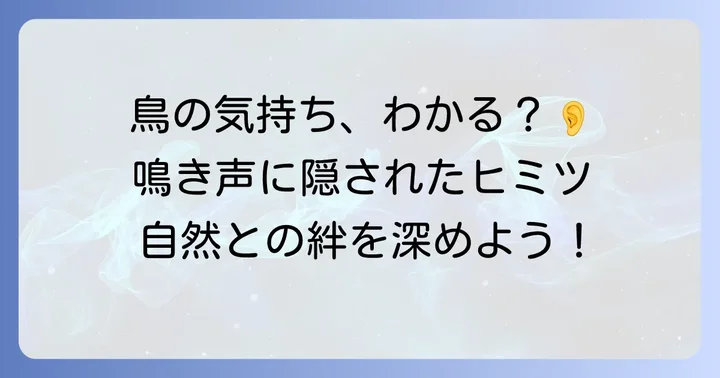 鳥の鳴き声に込められたメッセージを読み解くコツ