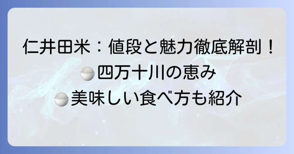 仁井田米の値段相場と魅力：徹底解説！購入方法や美味しい食べ方も