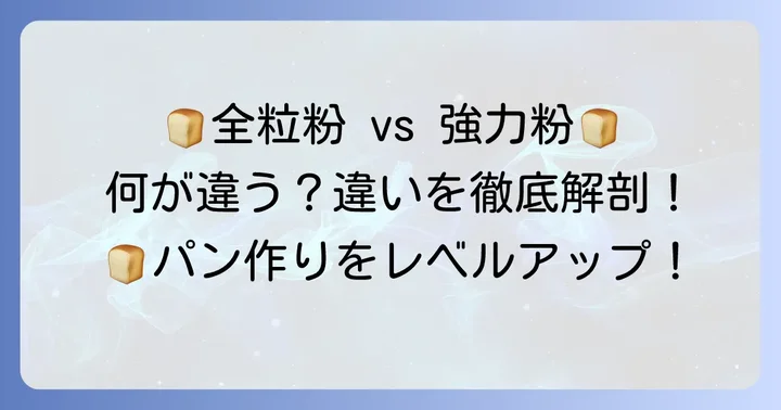 パン作りの基本!全粒粉と強力粉の基礎知識