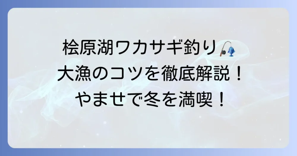 やませワカサギ釣果情報！桧原湖で大漁を掴むための釣り方とコツ