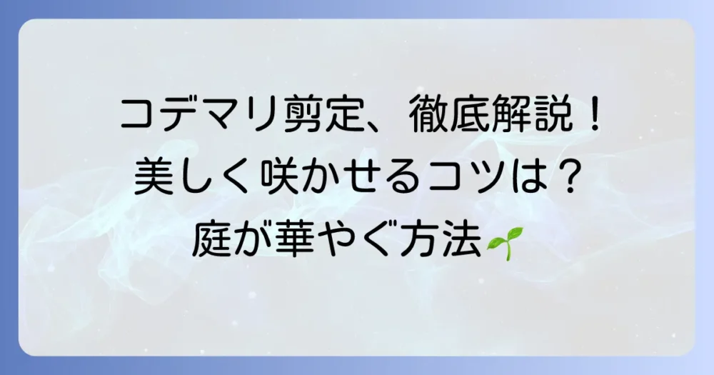 コデマリの剪定で切る場所を徹底解説！美しい花を咲かせるための方法
