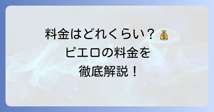 コインランドリーピエロの料金体系を徹底解説