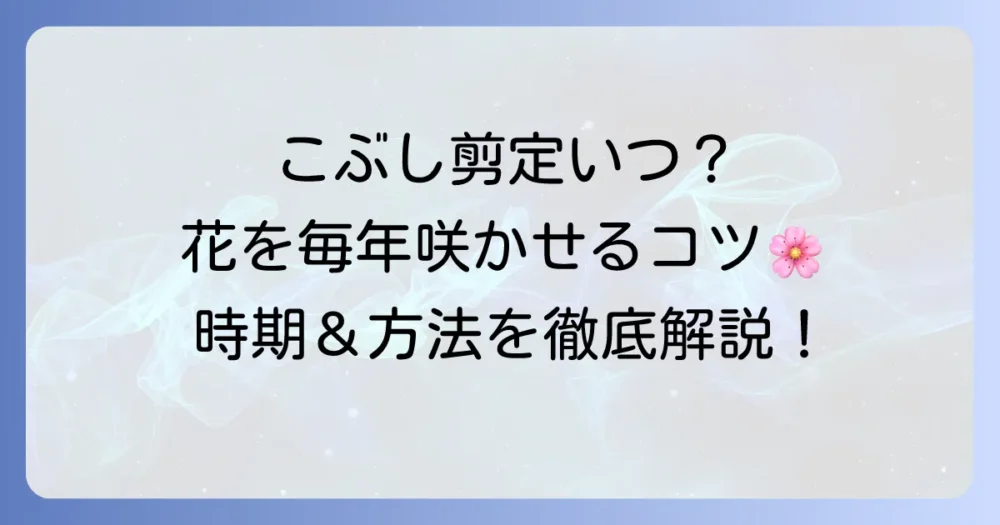 こぶしの剪定時期はいつが最適？花を毎年楽しむための方法とコツ