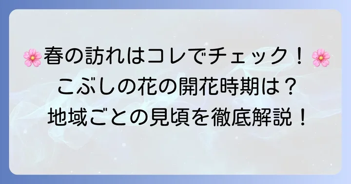 こぶしの花の開花時期は春の訪れを告げるサイン