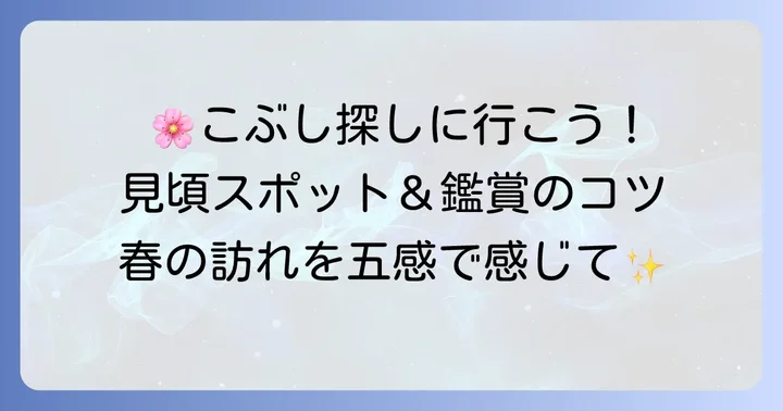 こぶしの木が見られる場所と鑑賞のコツ